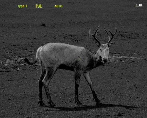 Radifeel Digital low light Rifle Scope D05-1